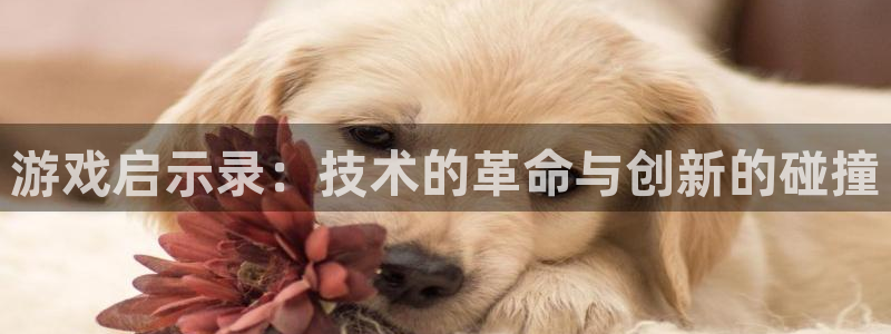 沐鸣娱乐2登录平台官网入口