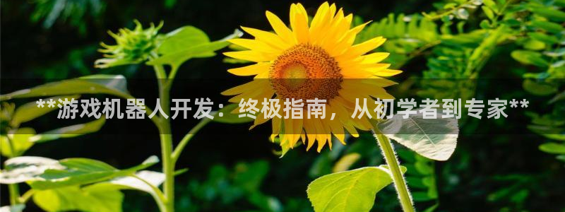 沐鸣2注册开户