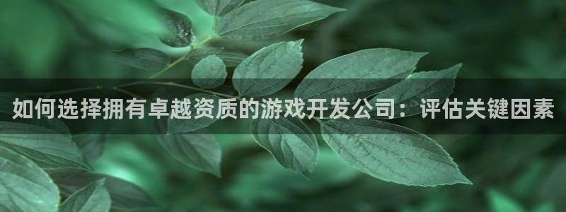 沐鸣2官方注册：如何选择拥有卓越资质的游戏开发公司：评估关键因素