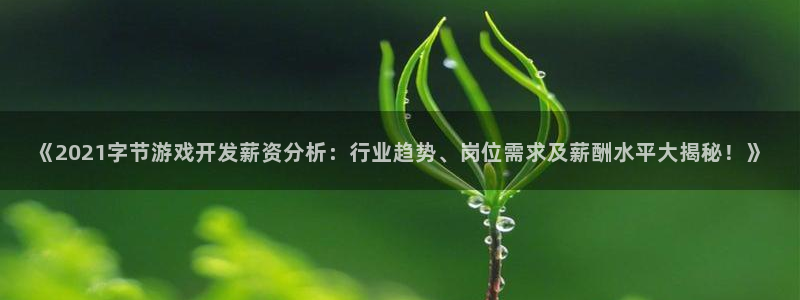 沐鸣娱乐2l怎么样：《2021字节游戏开发薪资分析：行业趋势、岗位需求及薪酬水平大揭秘！》